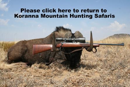 Please click here to return to Koranna Mountain Hunting